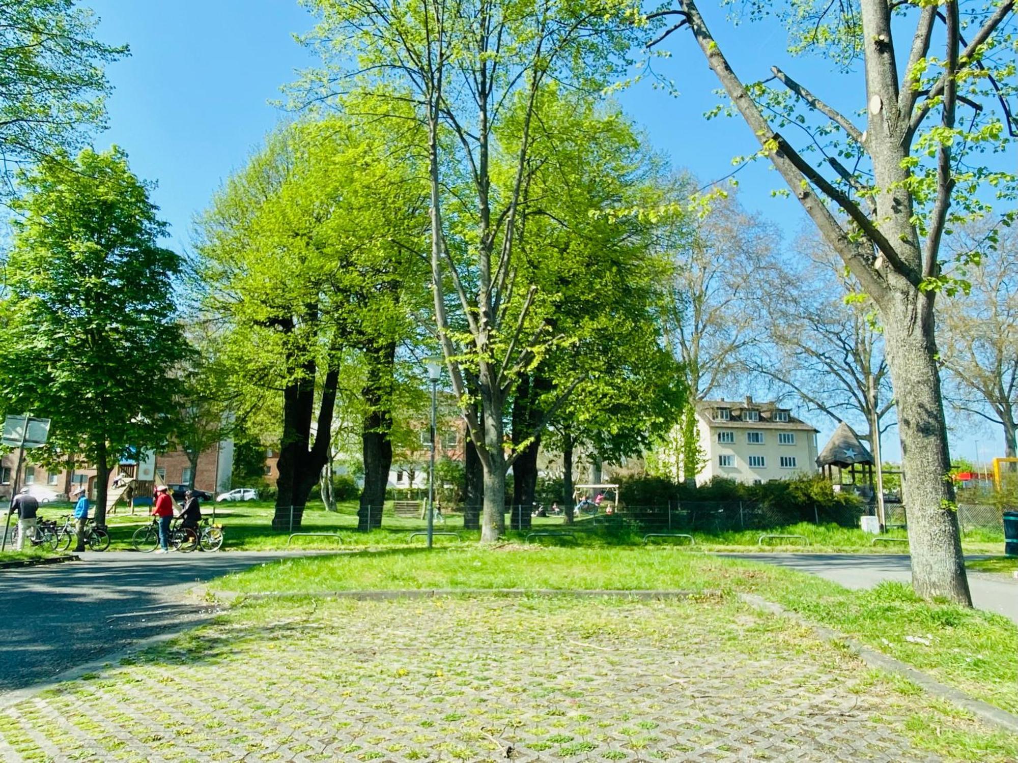 Kassel: Alles, Was Du Brauchst! Exterior foto